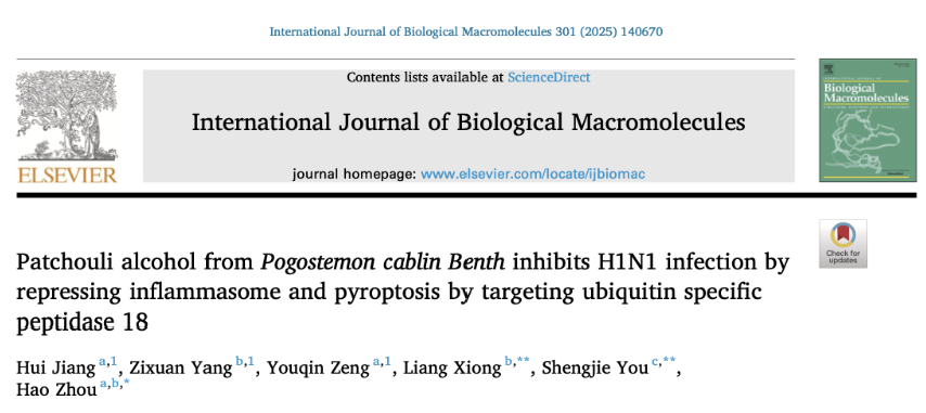 微信图片_20250910154415
