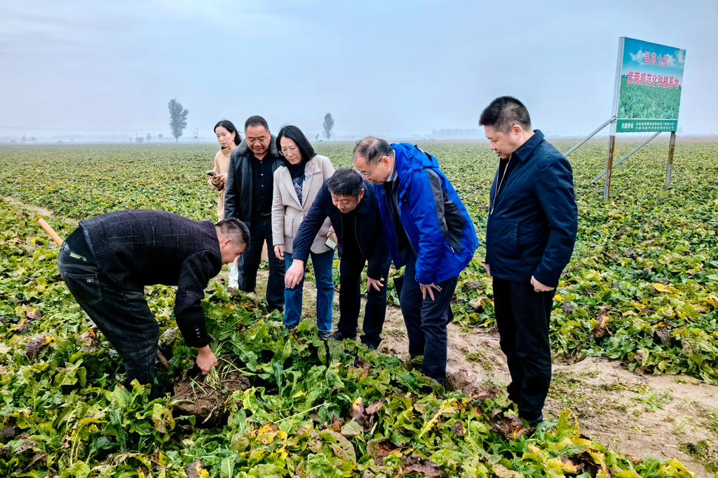 微信图片_20250331135847