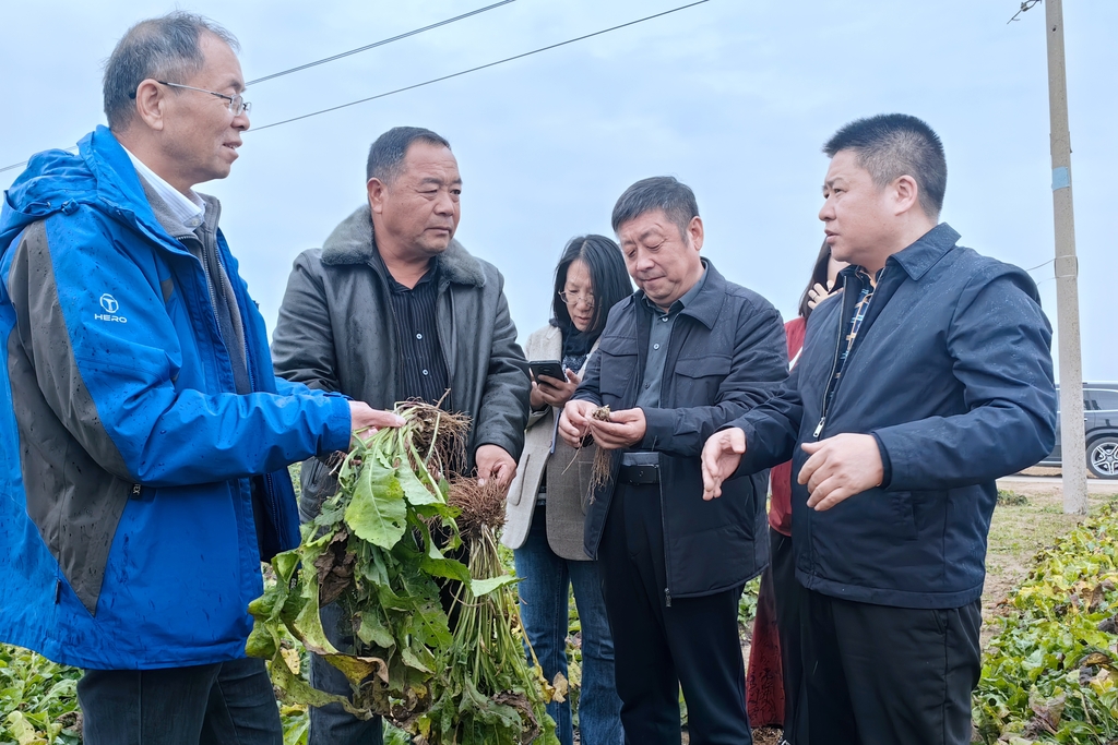 微信图片_20250331135818