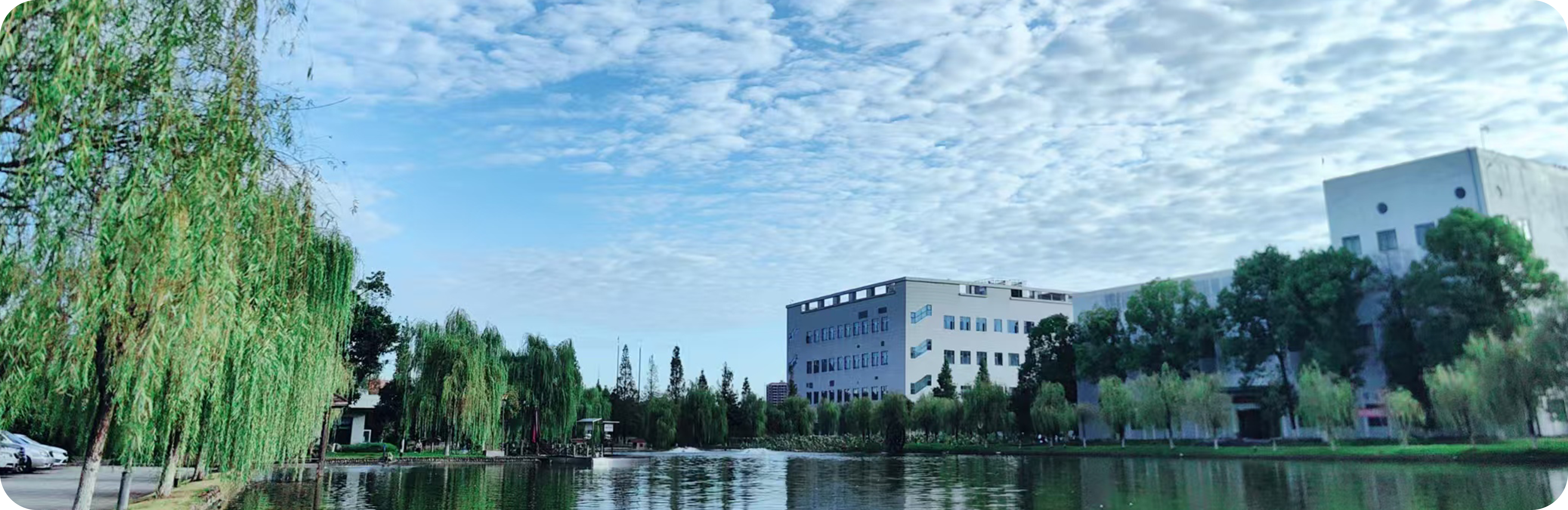 1770367725777036122.png 1770367725777036122.png